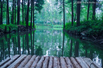 水上竹筏森林漂流风景