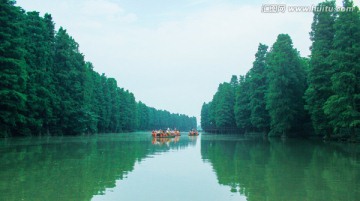 水上森林竹筏漂流摄影风景