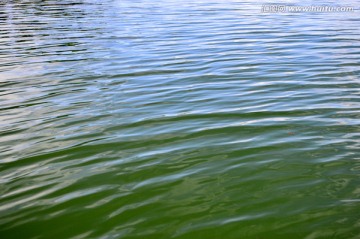 水纹 花纹