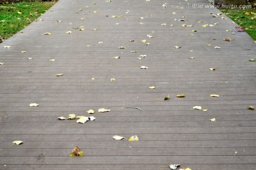 木板路