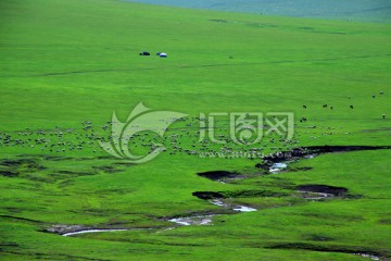 草原牧场羊群河流