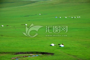 夏季草原蒙古包牧场