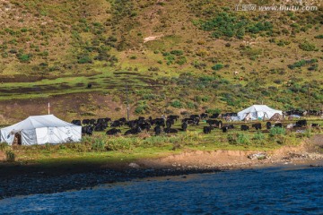 青海久治草原风光