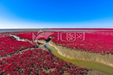 辽宁红海滩