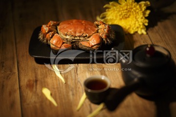 中式美食大闸蟹菊花美酒佳肴螃蟹