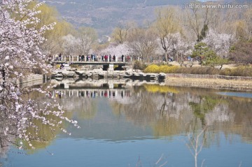 春暖花开