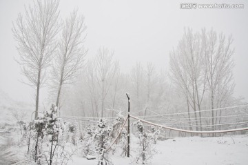 乡村雪景