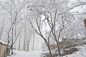 乡村雪景