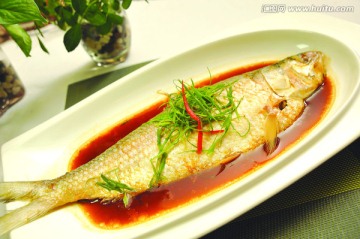 鲥鱼