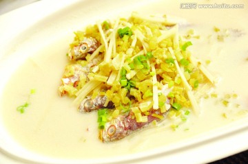小黄鱼