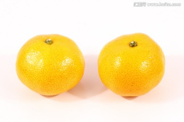 柑儿 橘子 柑橘 柑子 白色背