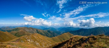 高山草甸