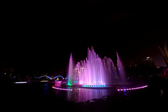 金华五百滩公园 喷泉夜景 紫红