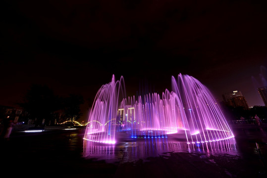 金华五百滩公园 喷泉夜景 紫红