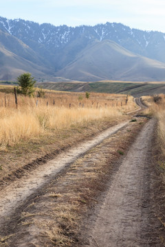 草原小路