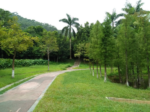 公园风景