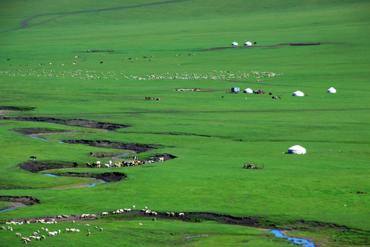 草原牧场河流蒙古包