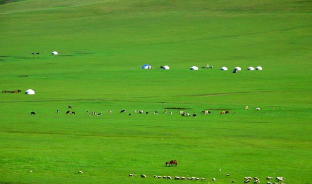 草原蒙古包牧场