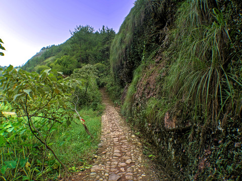 金华九峰山山路石阶