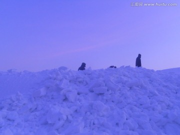 冬日雪景