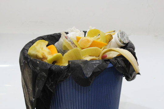 水果垃圾 垃圾筒 垃圾袋 垃圾