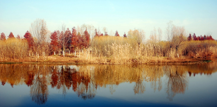 湿地 湖畔秋色