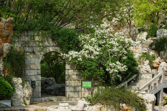 公园景观 石门