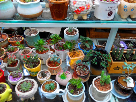 花卉市场