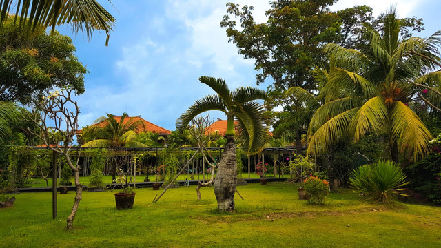 巴厘岛 宾馆