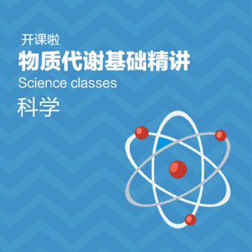 开课啦 科学 物质代谢基础