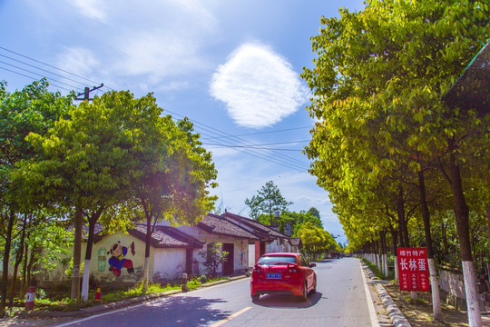 新农村道路