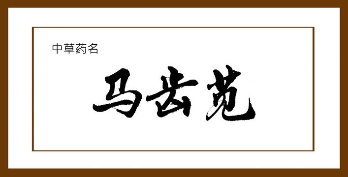 马齿苋