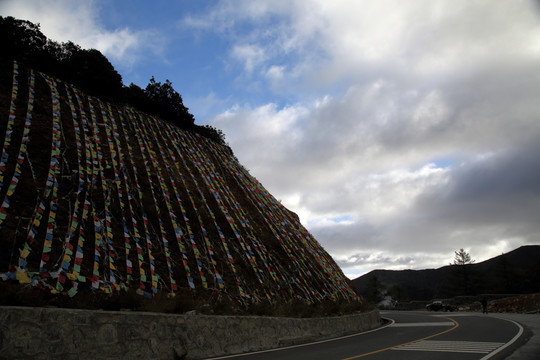 新都桥 四川风光