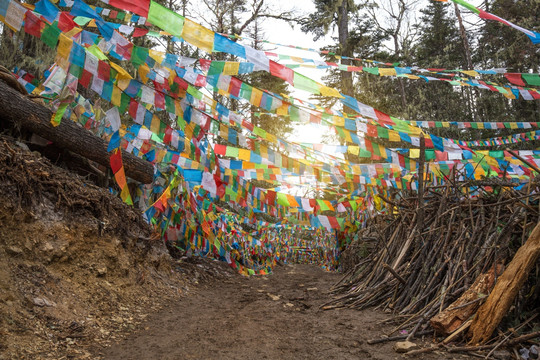 经幡小路