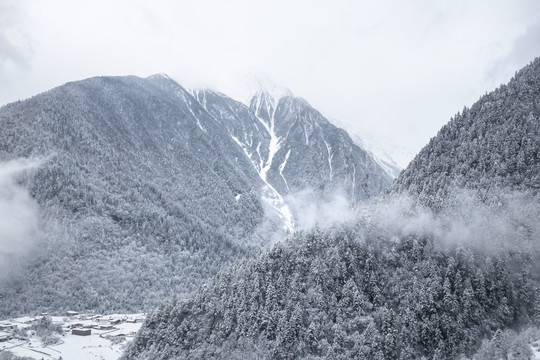 雪中山林