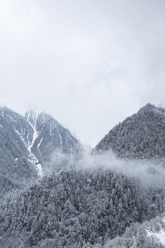 雪中山林