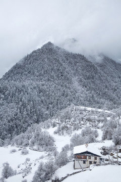 雪中雨崩村