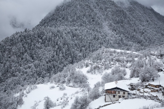 雪中雨崩村