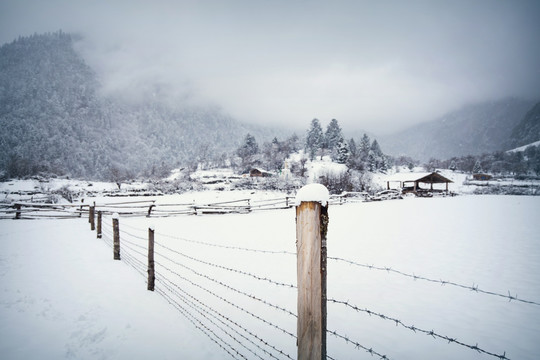 雪中雨崩