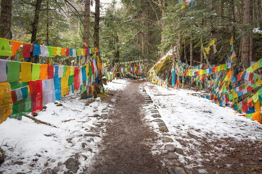 雪中山路