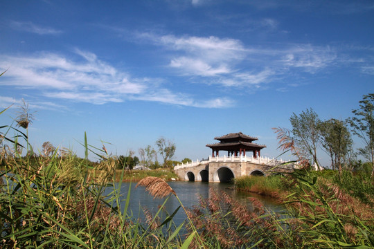 马踏湖湿地公园