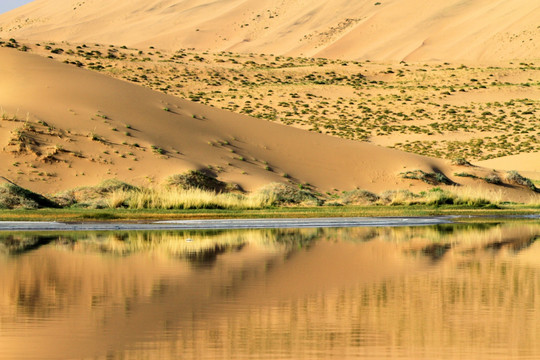 沙湖景观