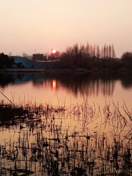 落日映红湖面