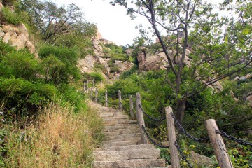 青岛珠山国家森林公园阶梯