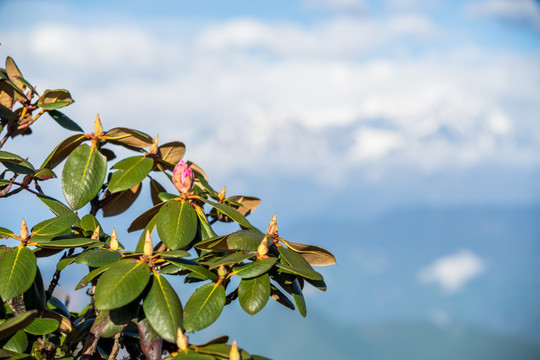 牛背山