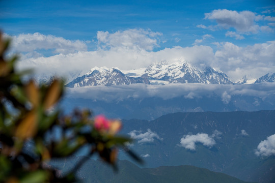 牛背山