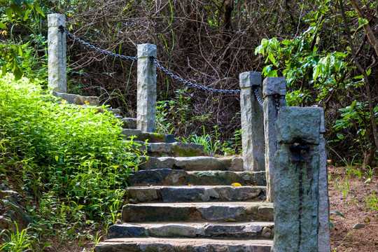 登山道