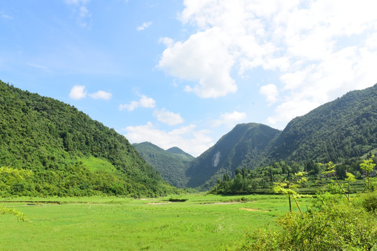 草原风景