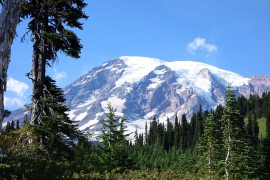 雷尼尔山