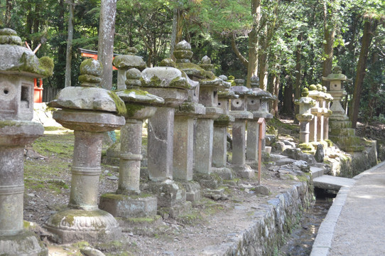 春日大社山道